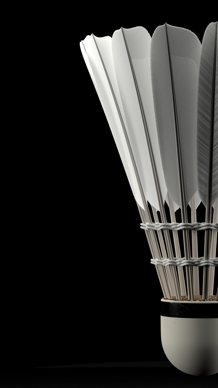 年轻球员 年轻球员